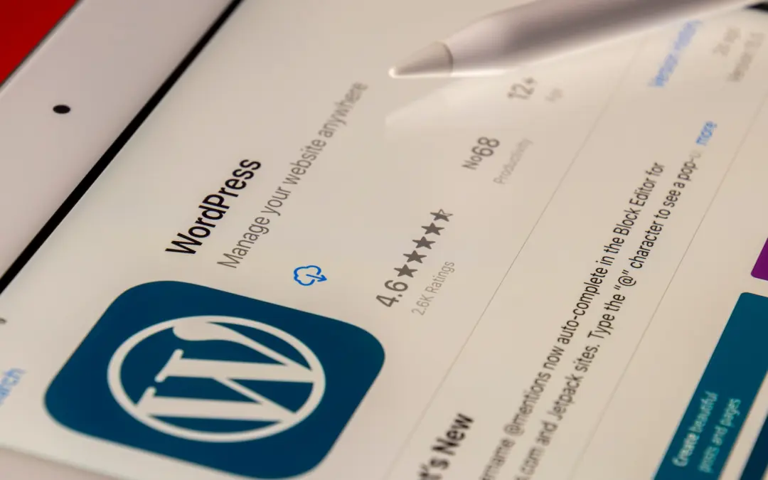 Was sind WordPress-Themes, -Plugins und -PageBuilder