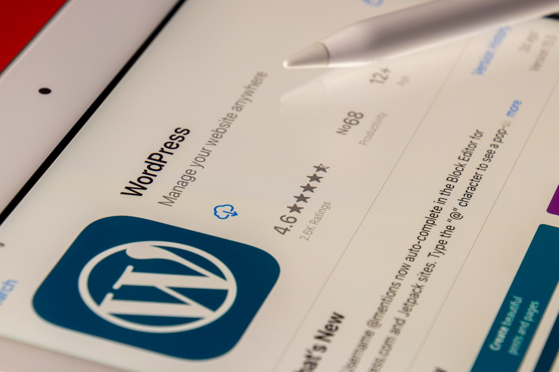 WordPress-Themes, Plugins & PageBuilder