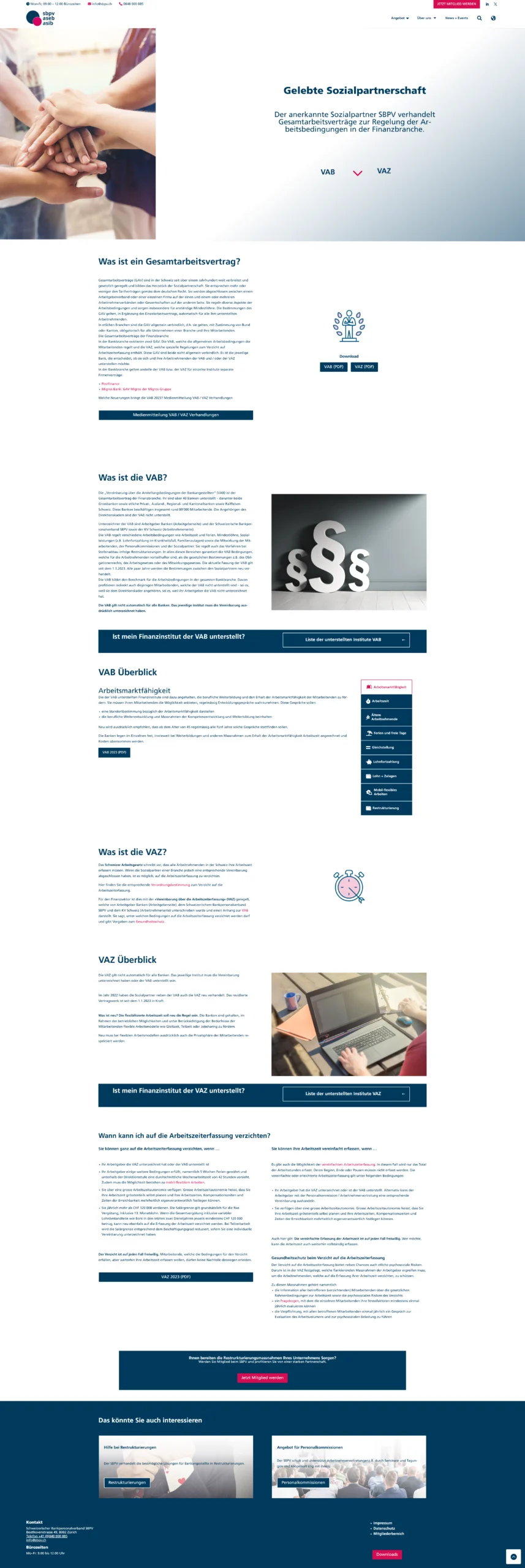 SBPV Website preview